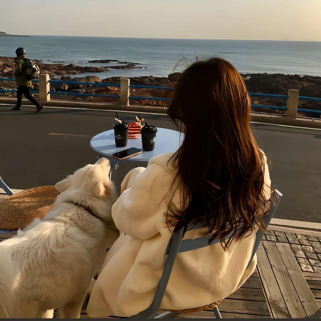 【甄选超市】好物