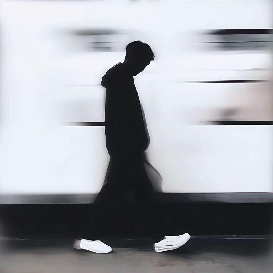 小羽-🐬（河北）