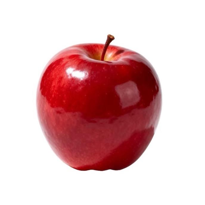 反派小狗打个奶嗝儿🐶