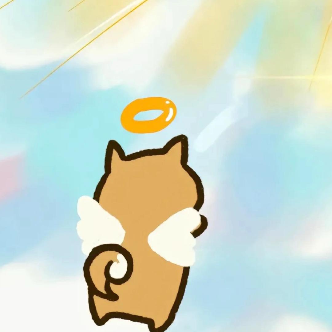 yyunoo
