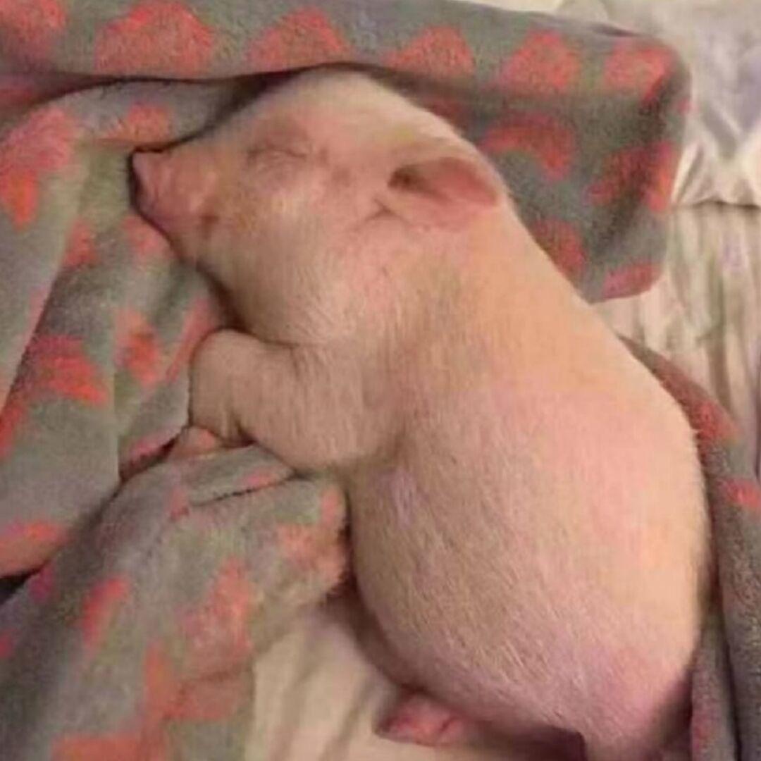 不破不立