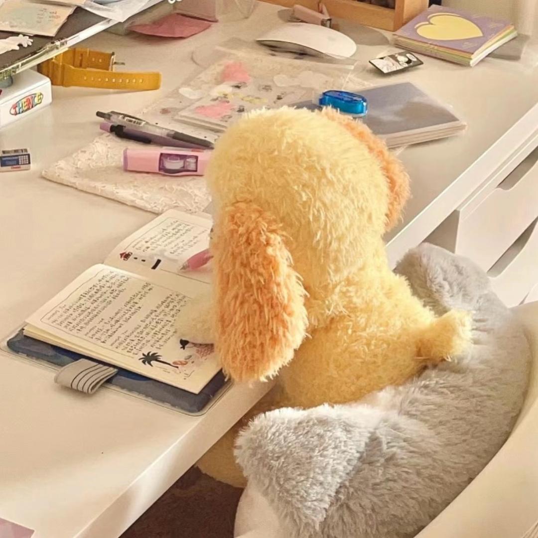 🧸