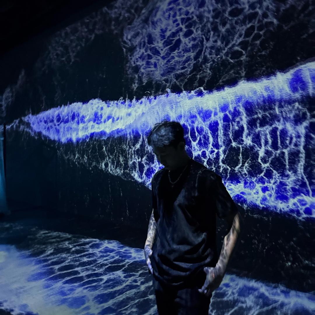 寒枫（三角洲行动）