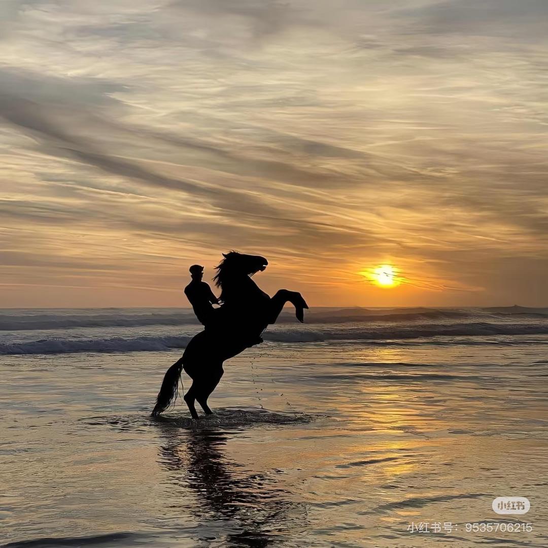 山东收藏甄选（预约马钞TT）