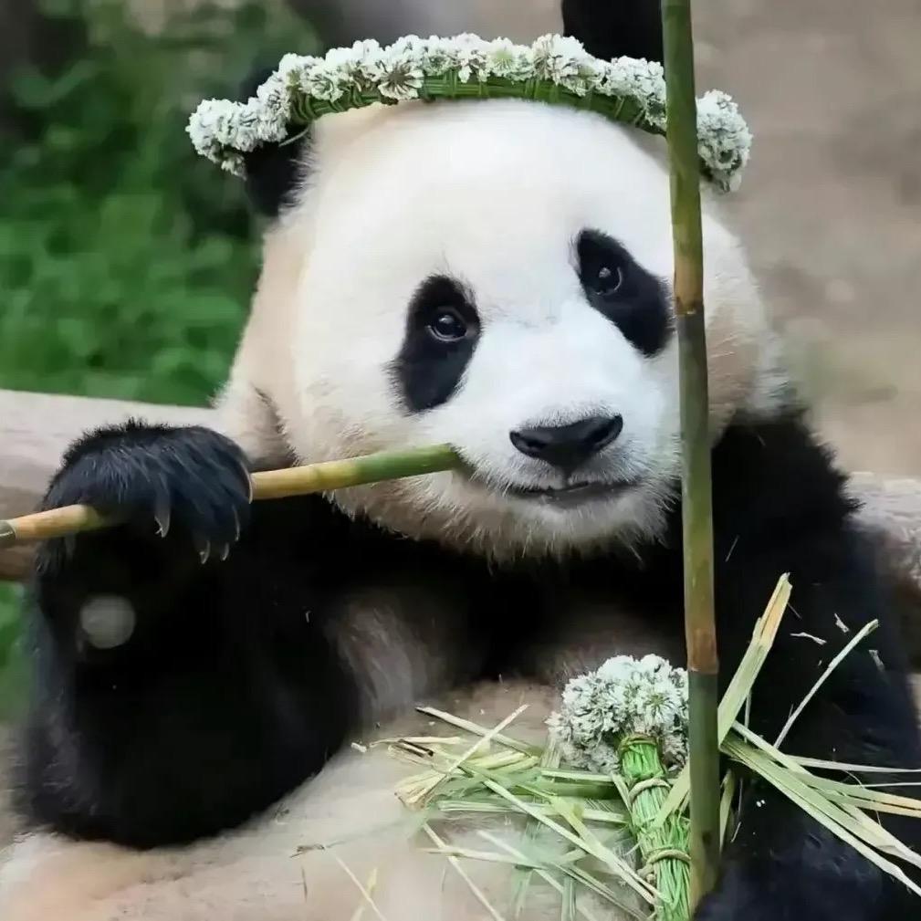 1.段感情、