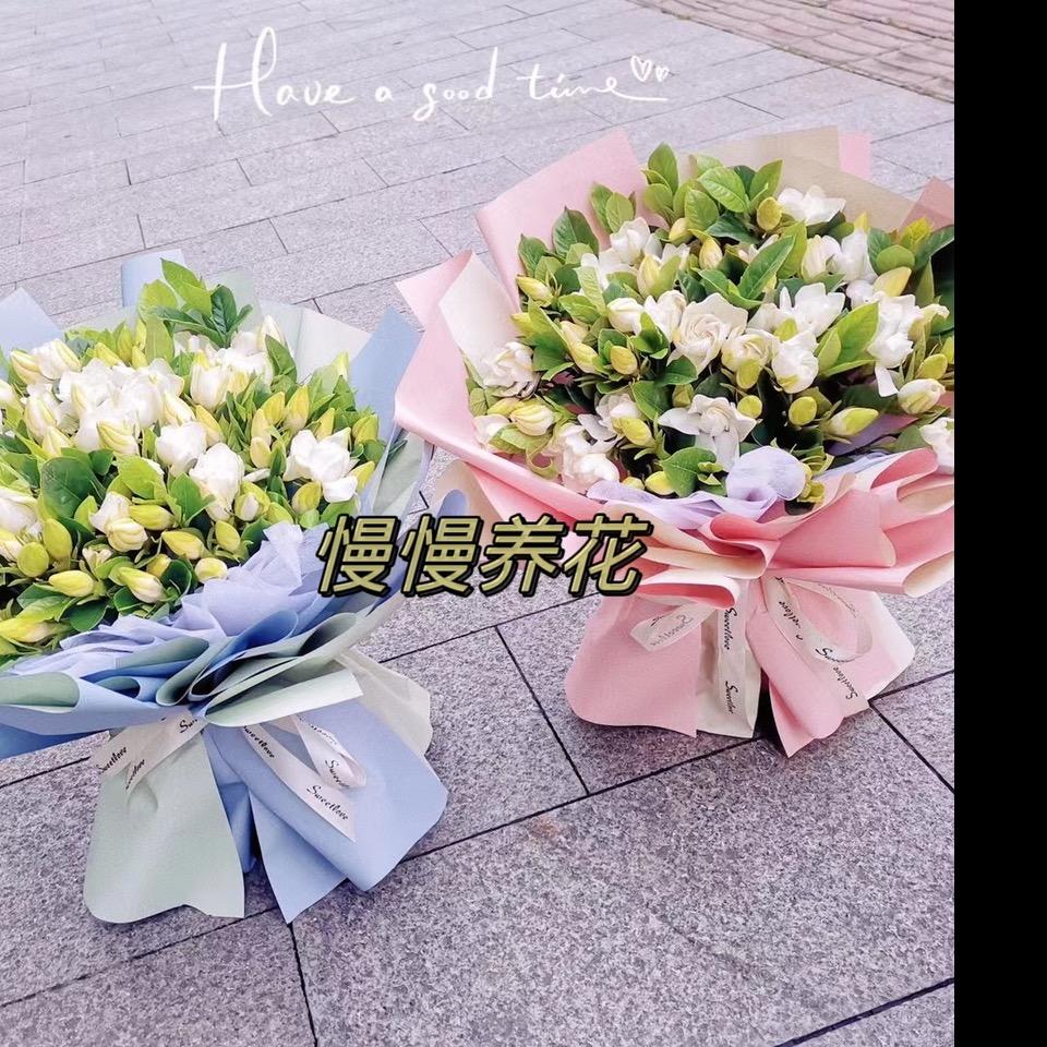 慢慢养花