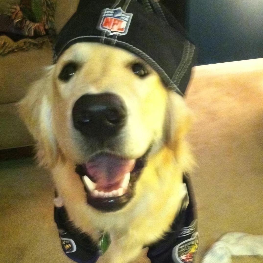 闪亮的jio趾甲✨