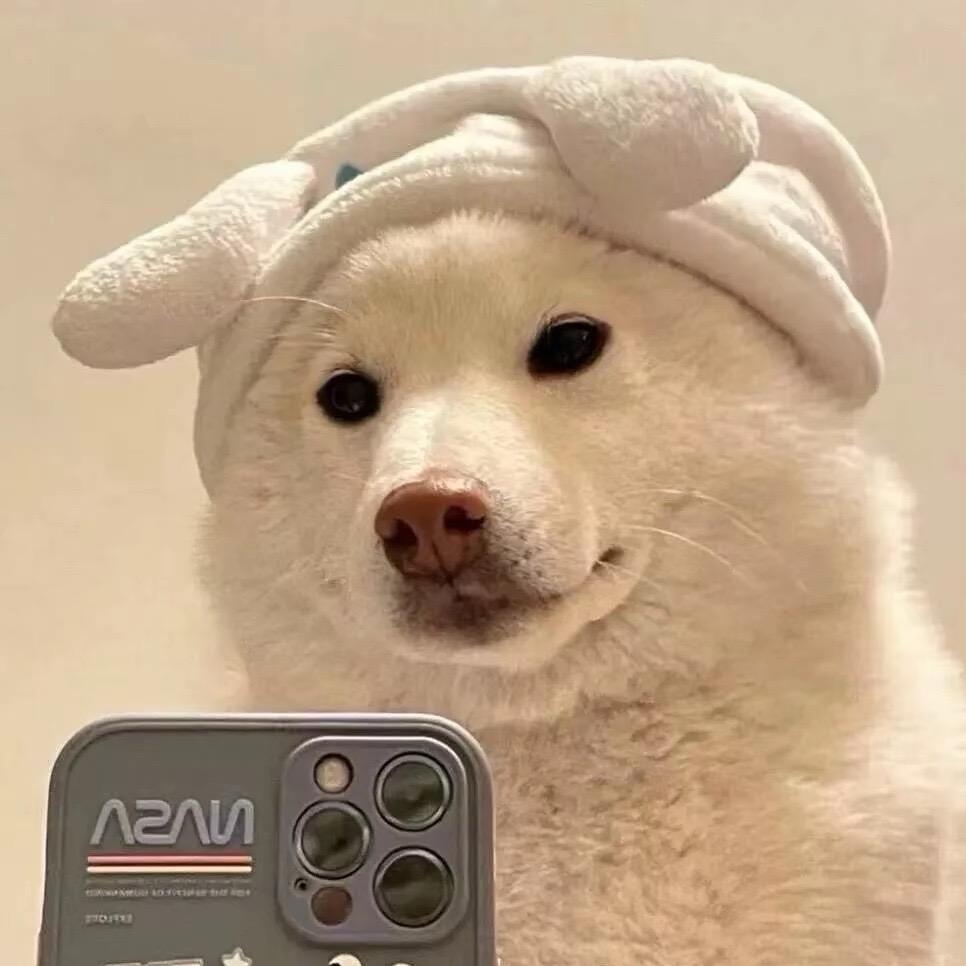 QT.小盛