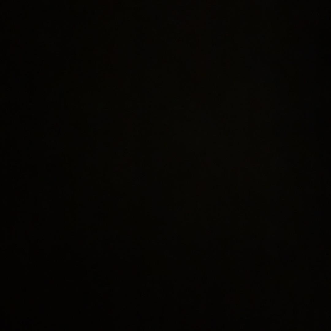 🍍 🍍          🍍