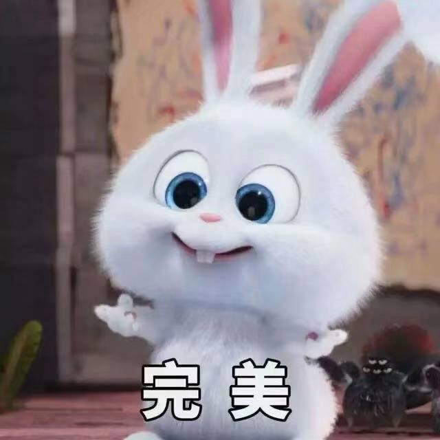 小白兔白呦白两只耳朵竖起来