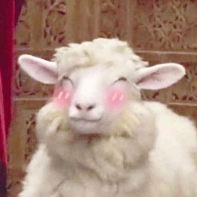 小卷羊咩咩 定制女装