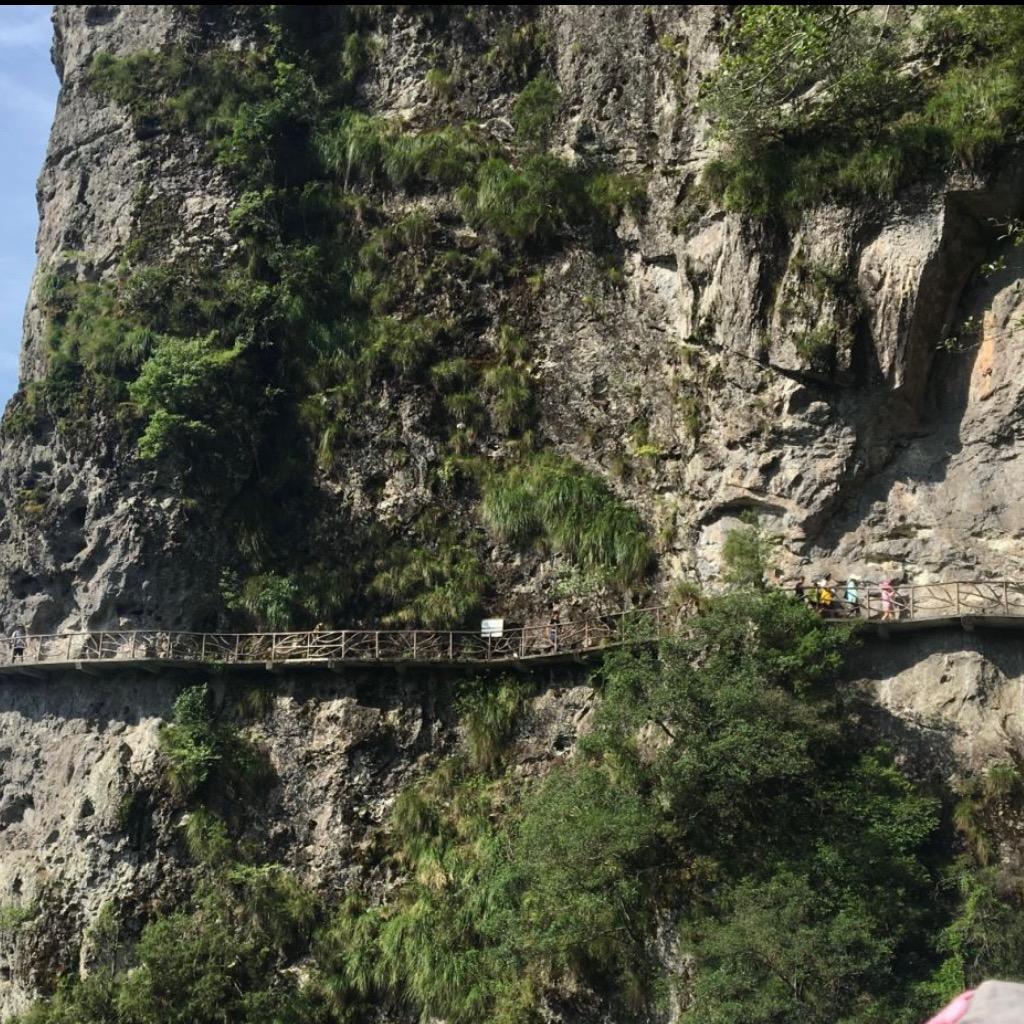 甄选衣裳