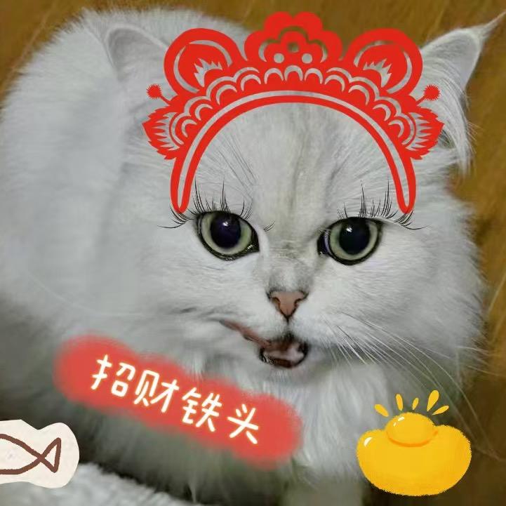 @  丽