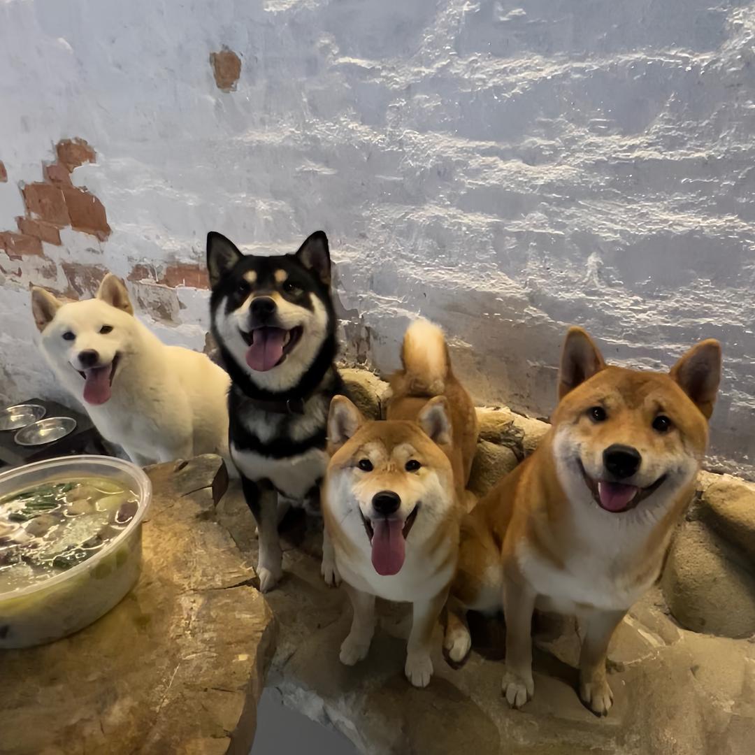 阿柴一家