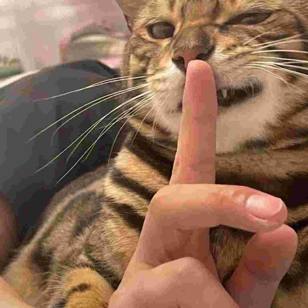 没有昵称
