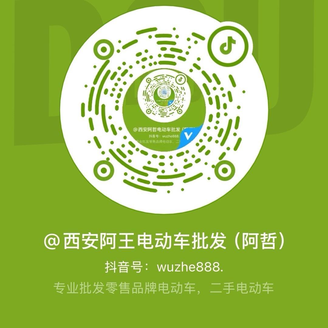 西安阿王电动车批发零售（阿哲）