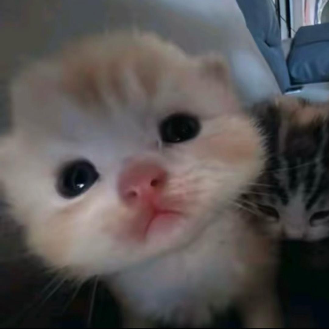 多次拒绝易烊千玺