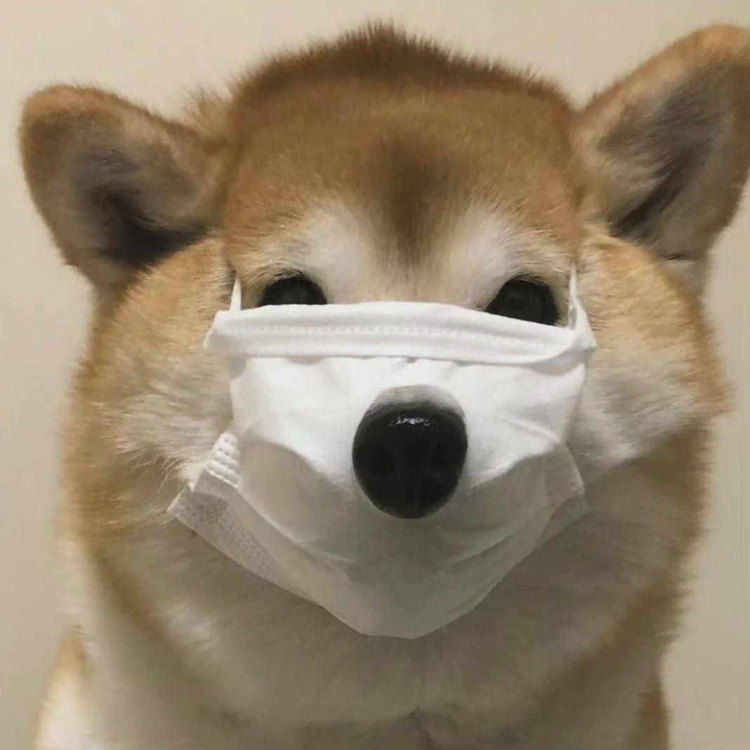 装睡修勾头像