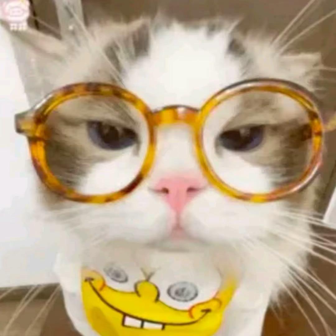 我发施