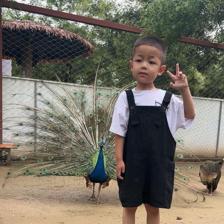 敏敏特穆尔