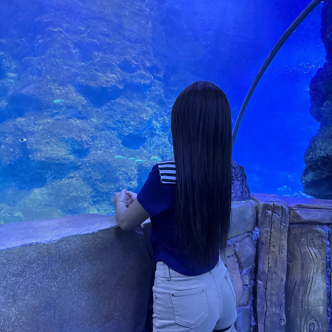 六六（努力版）