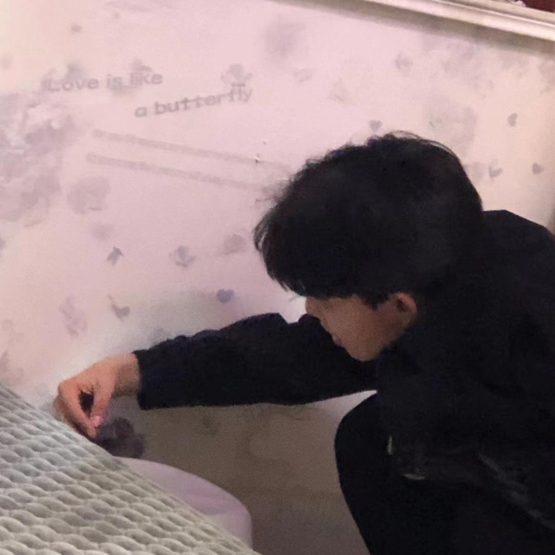 愿