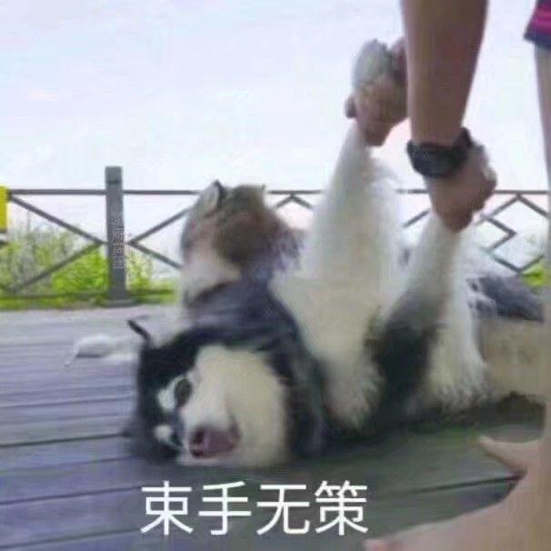 不
