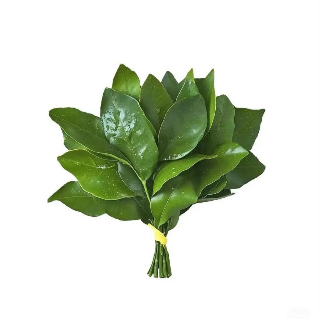Ddylan