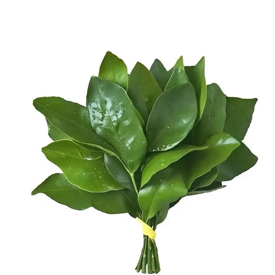 阿果