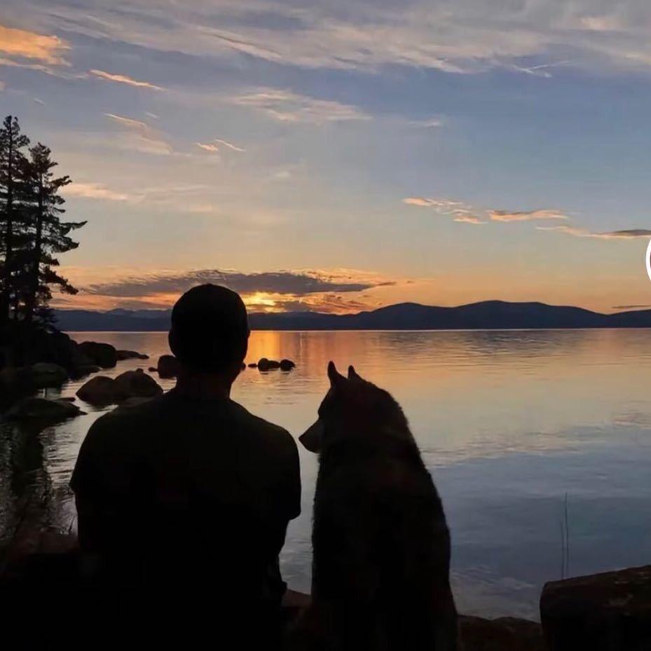 南风知我意、天堂1