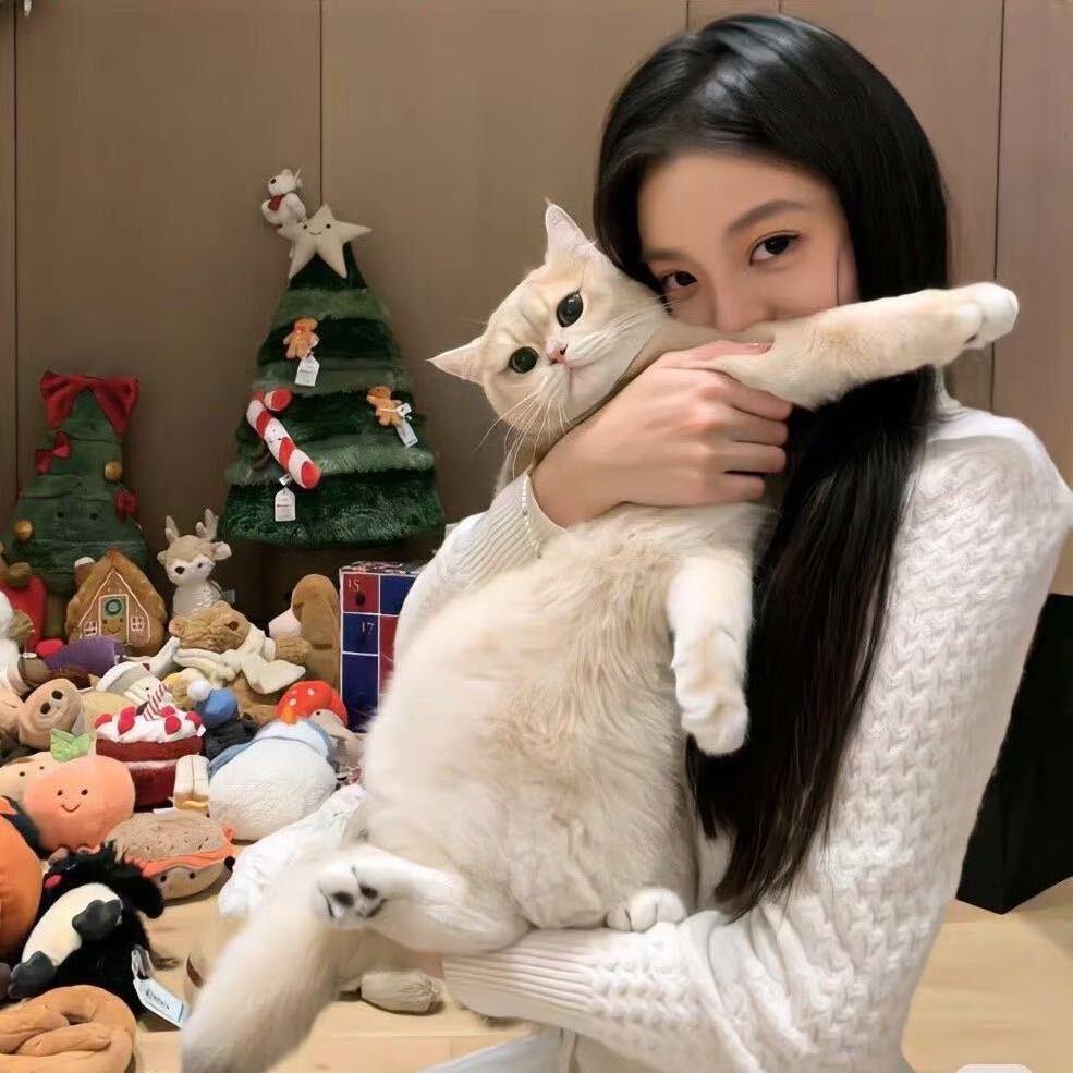 落日慢游