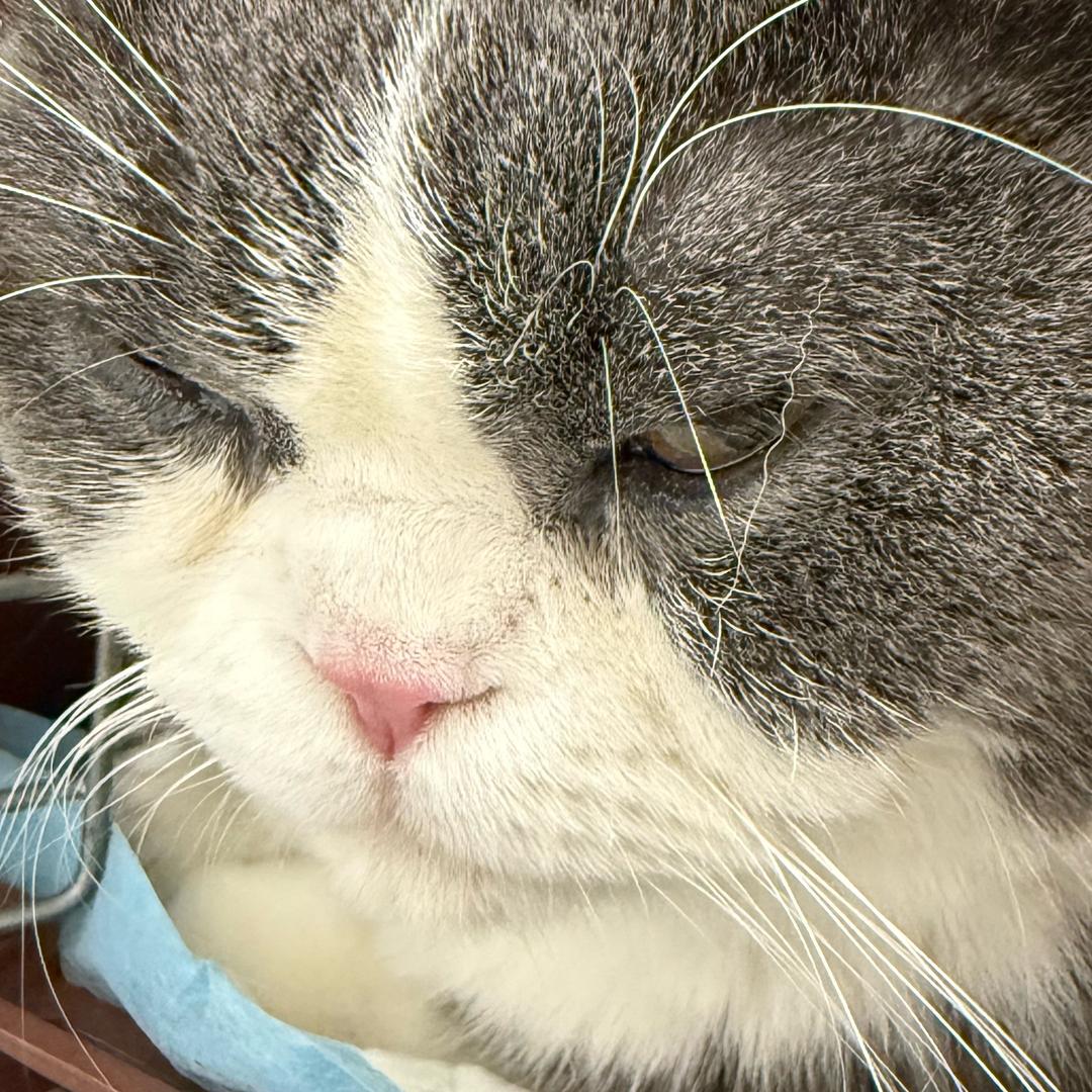 开着拖拉机到月球