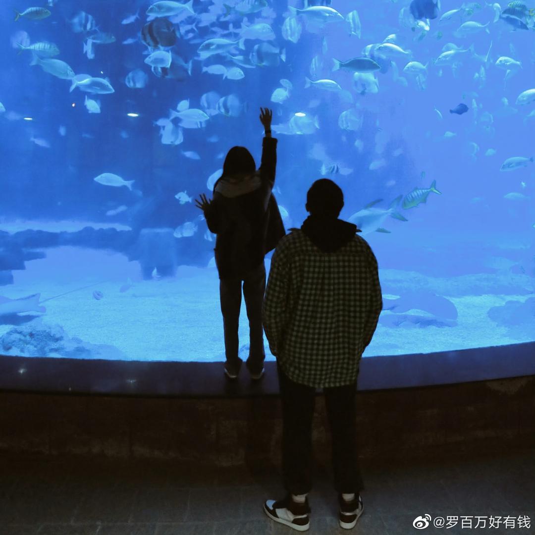 骂死过人