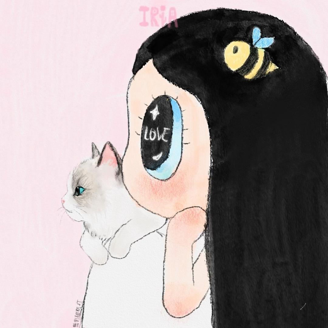 胡小怪