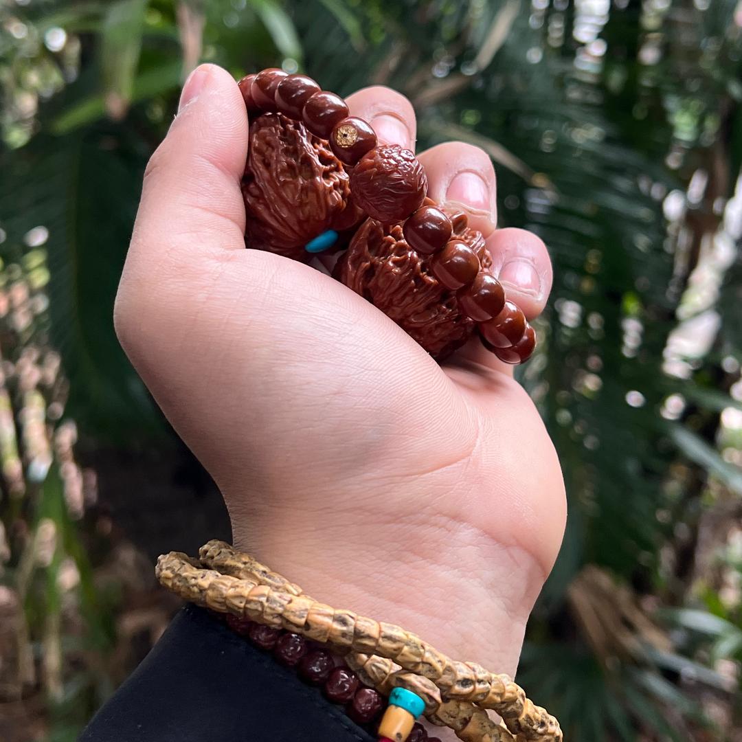 @李逍遥📿