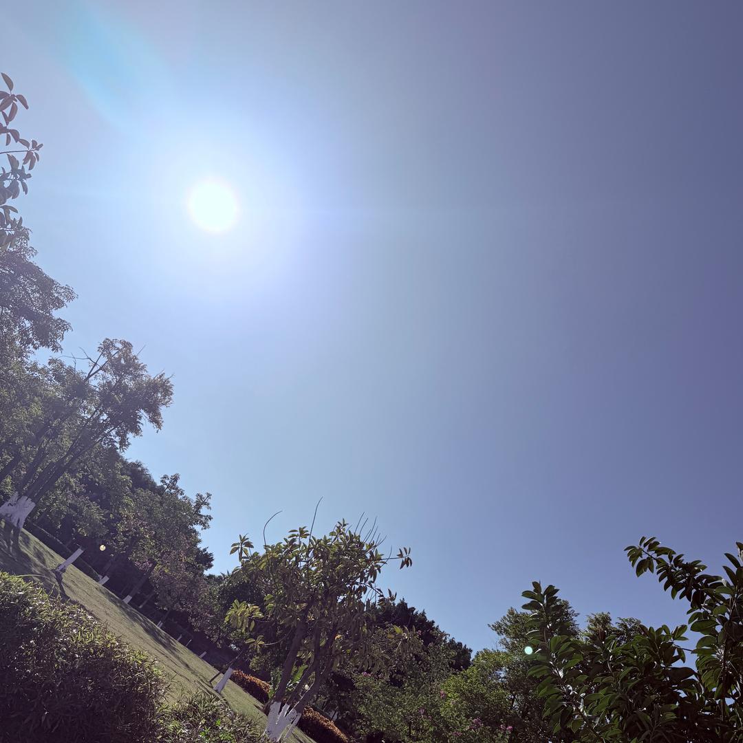 晨曦