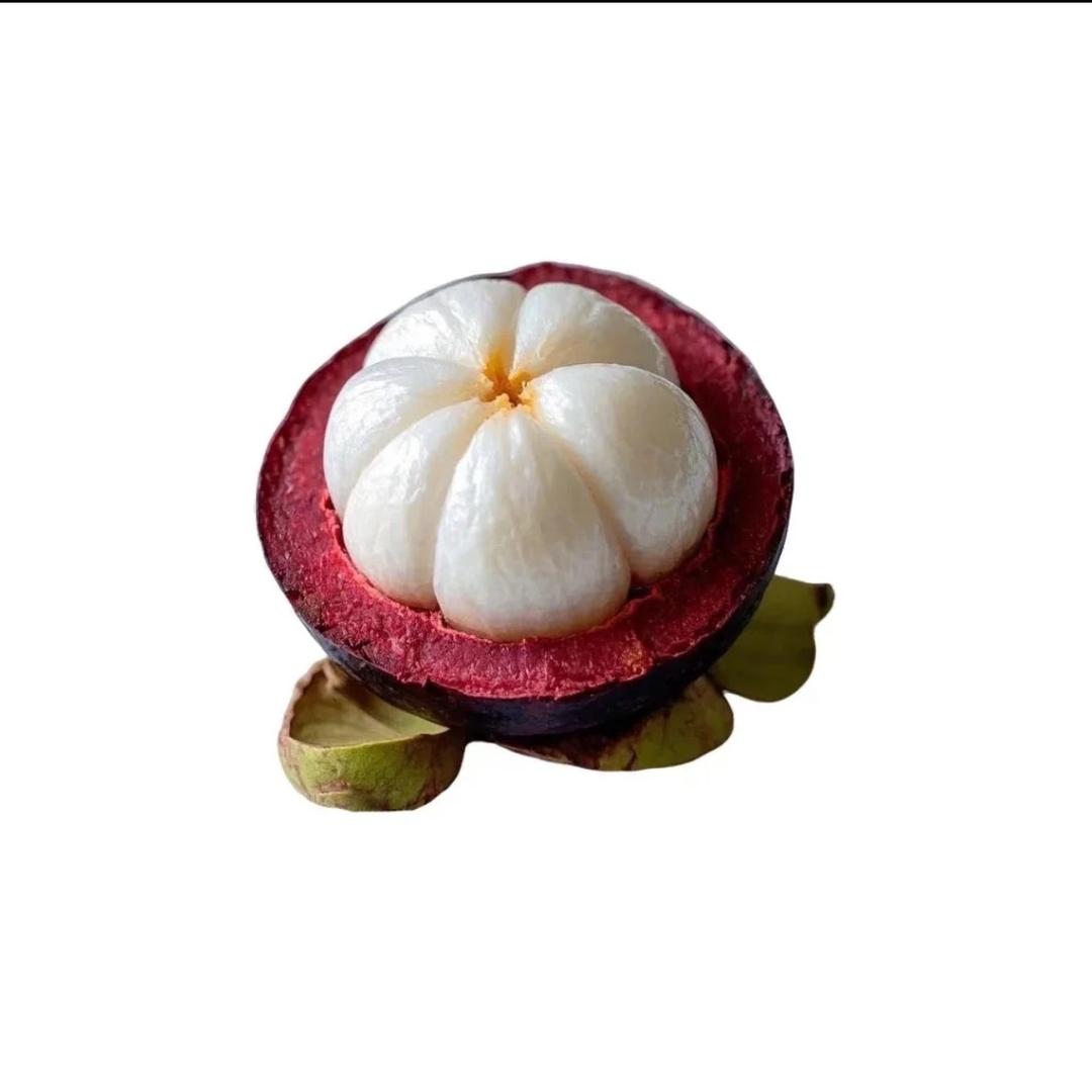 小芒果果业🥭
