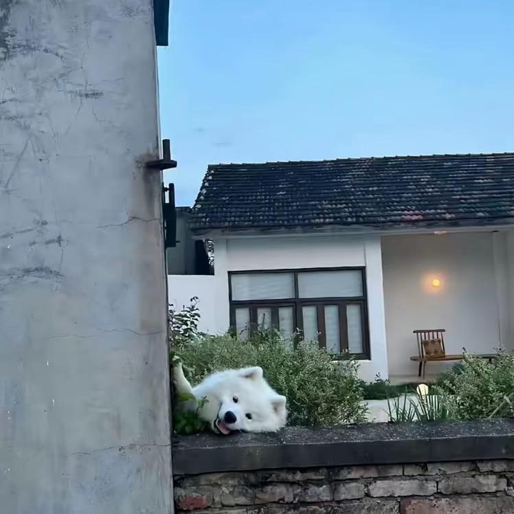 事在人为