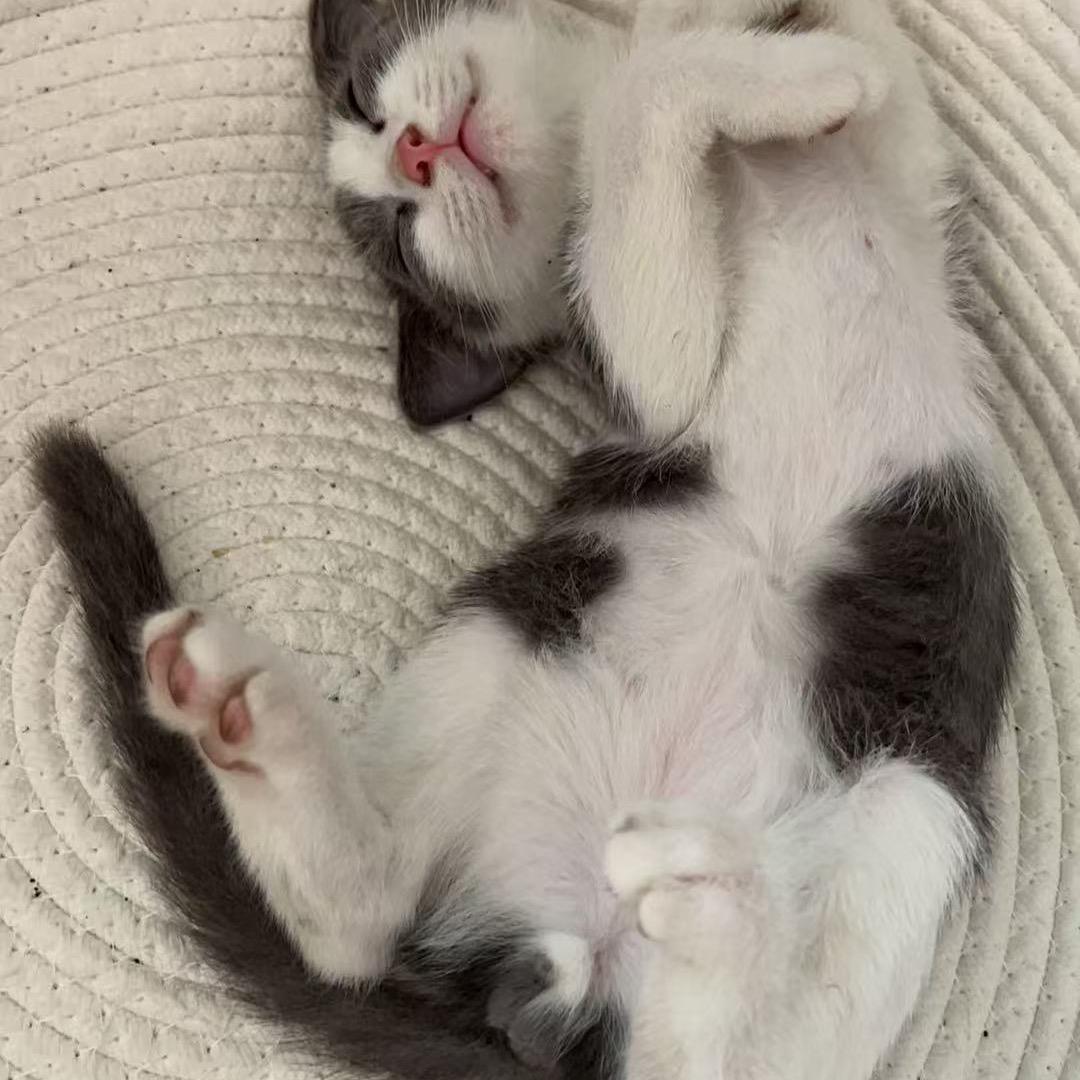 广州刘樟榜-小轩