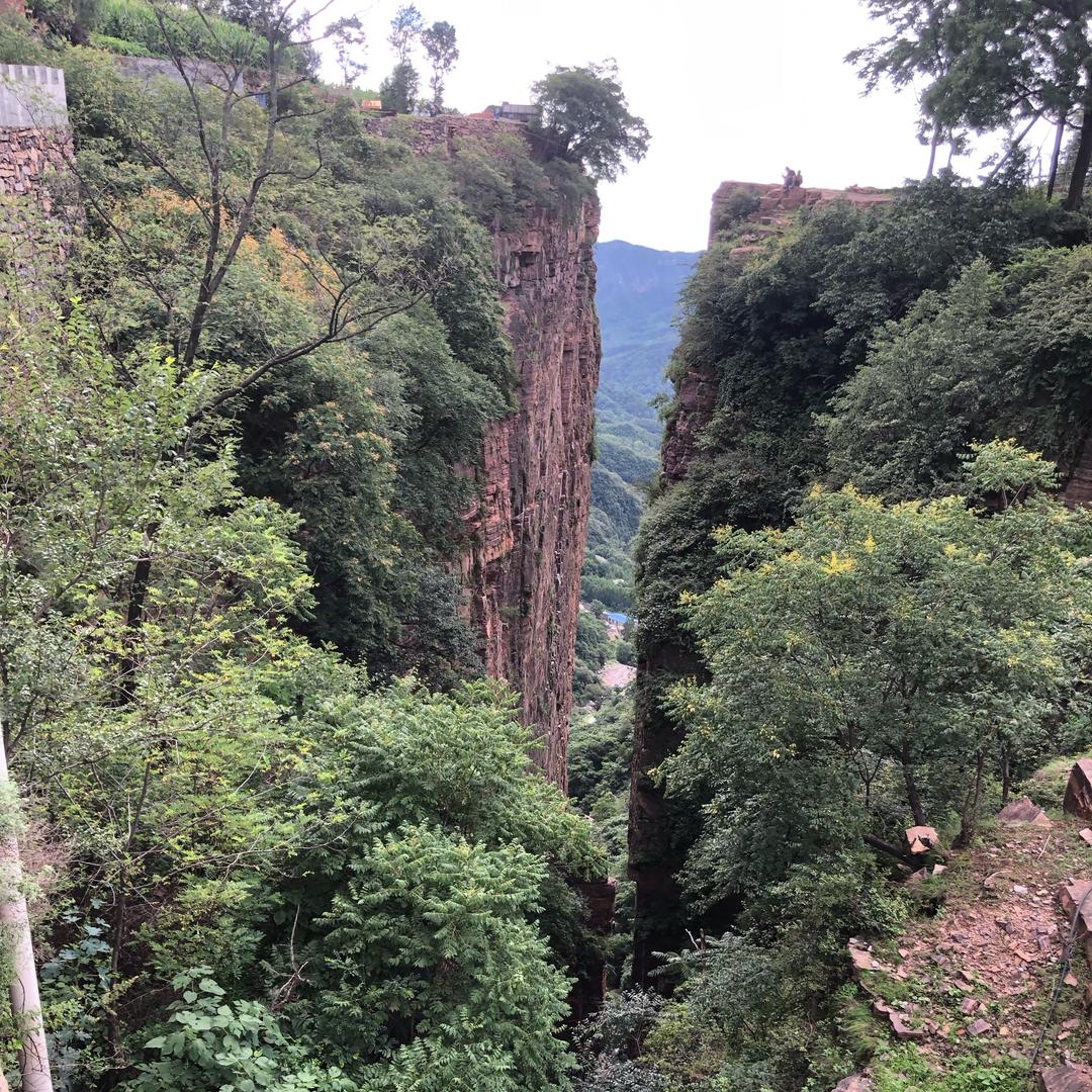 云淡风轻@