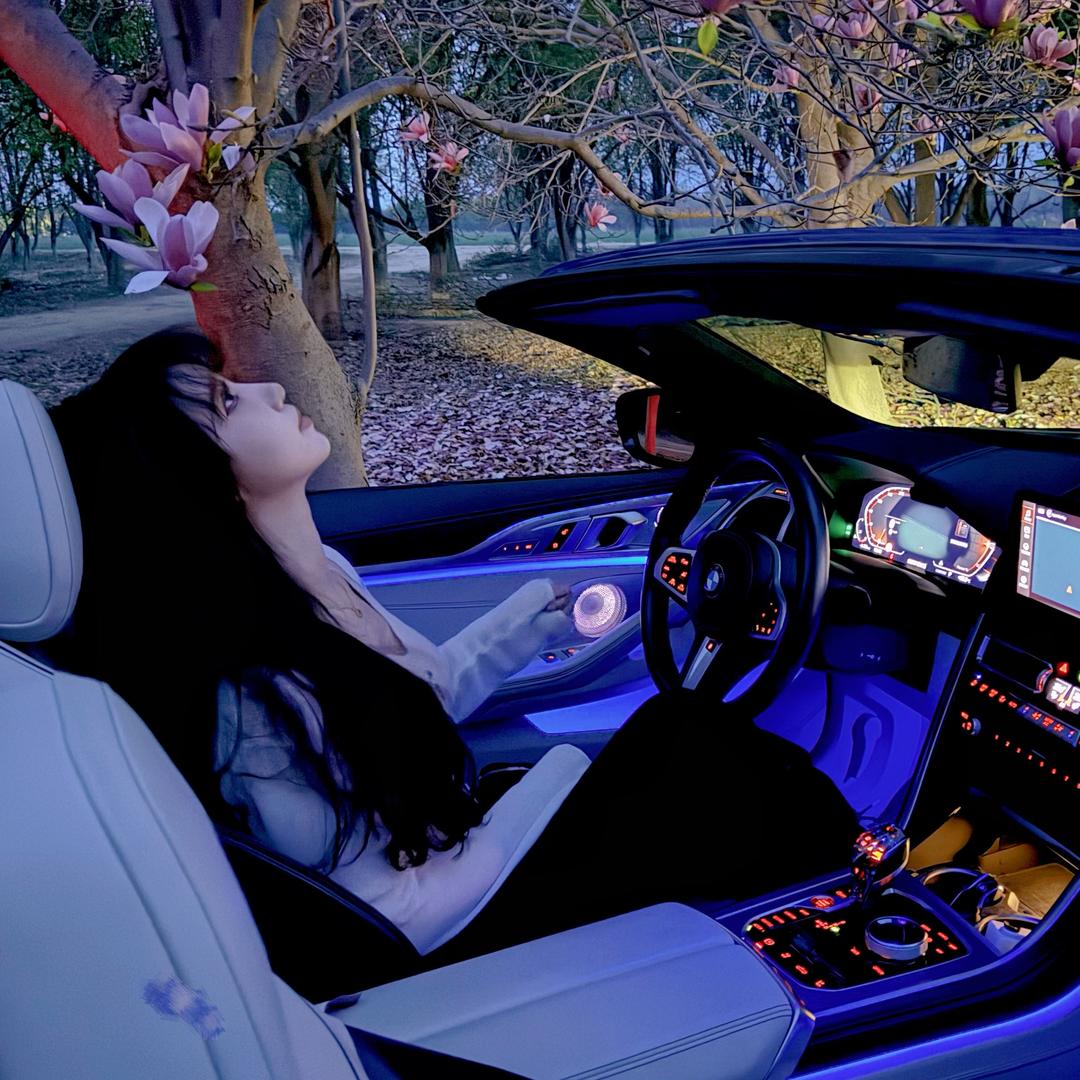 会长大人🚗💨@抖音