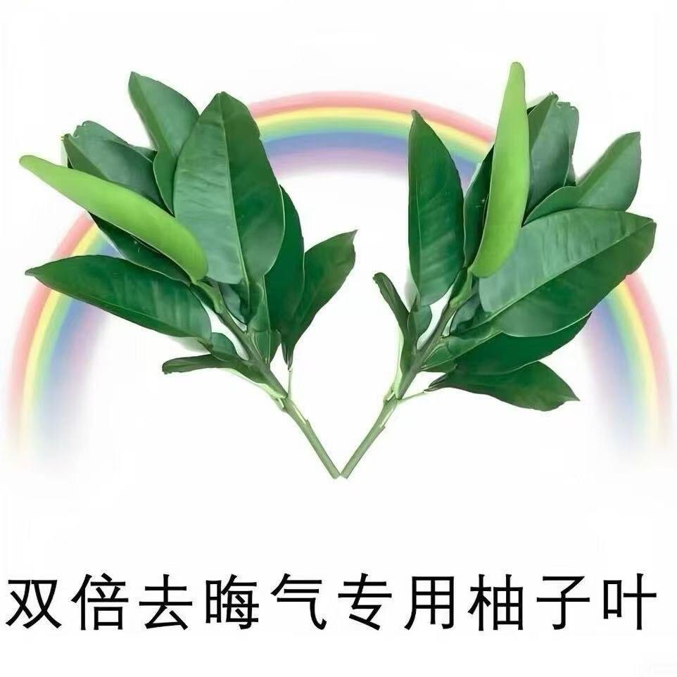 野ᩚ