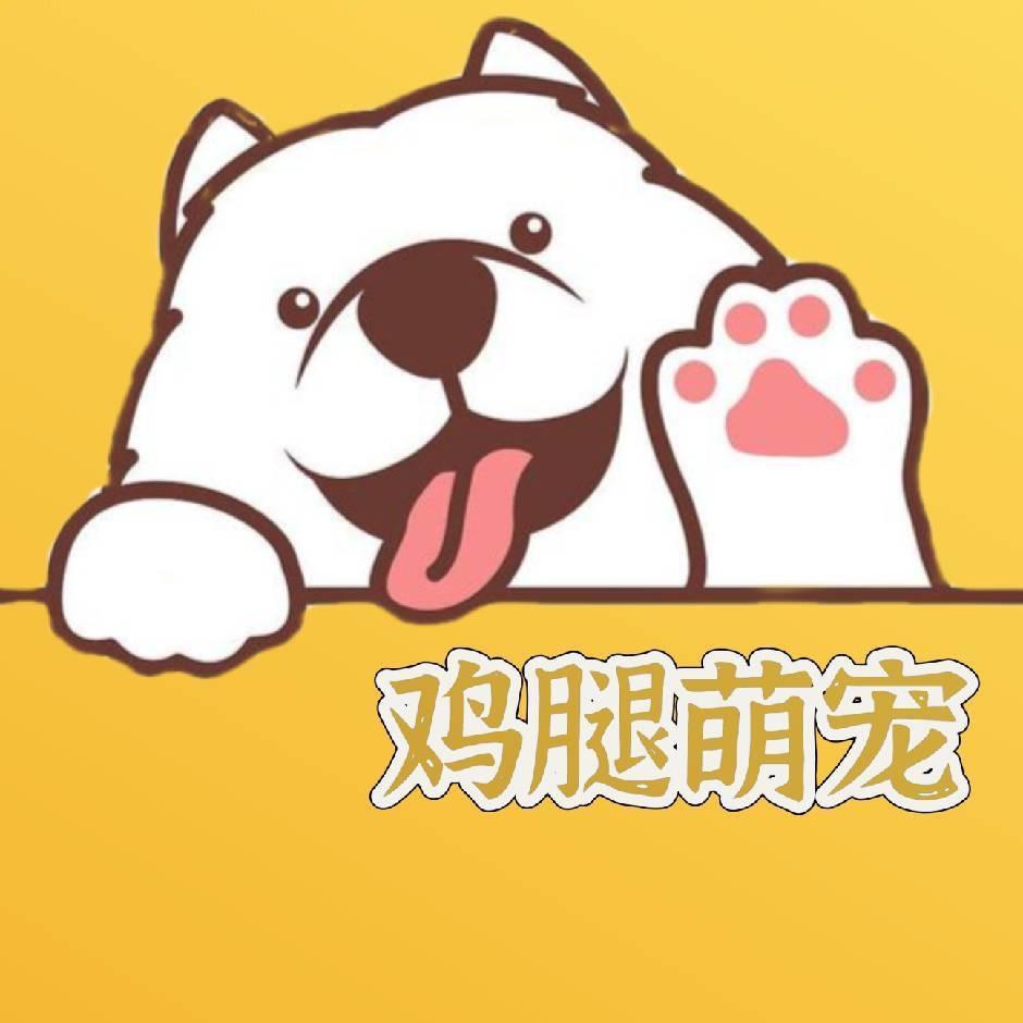 鸡腿萌宠
