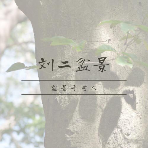 刘二盆景