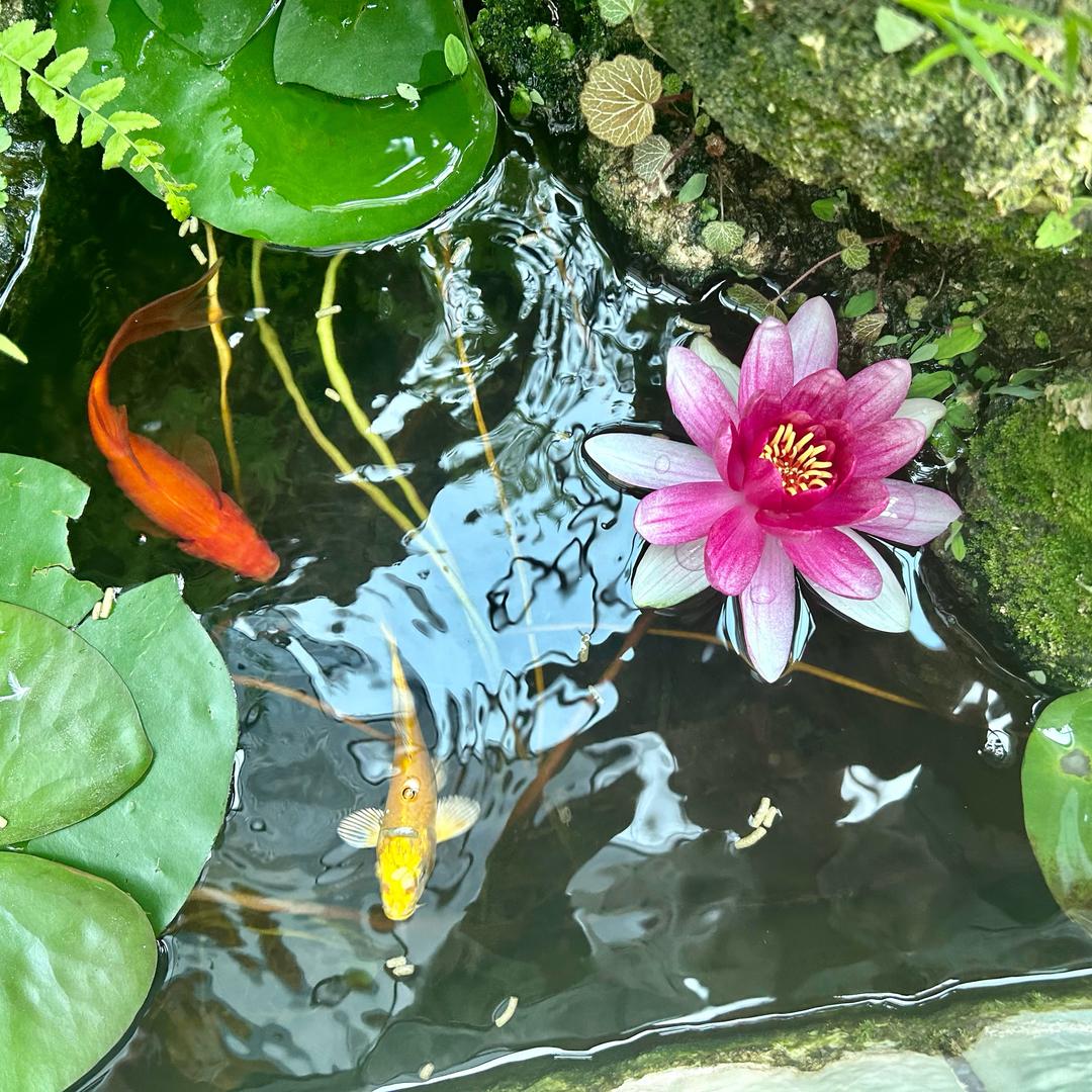 财源滚滚来