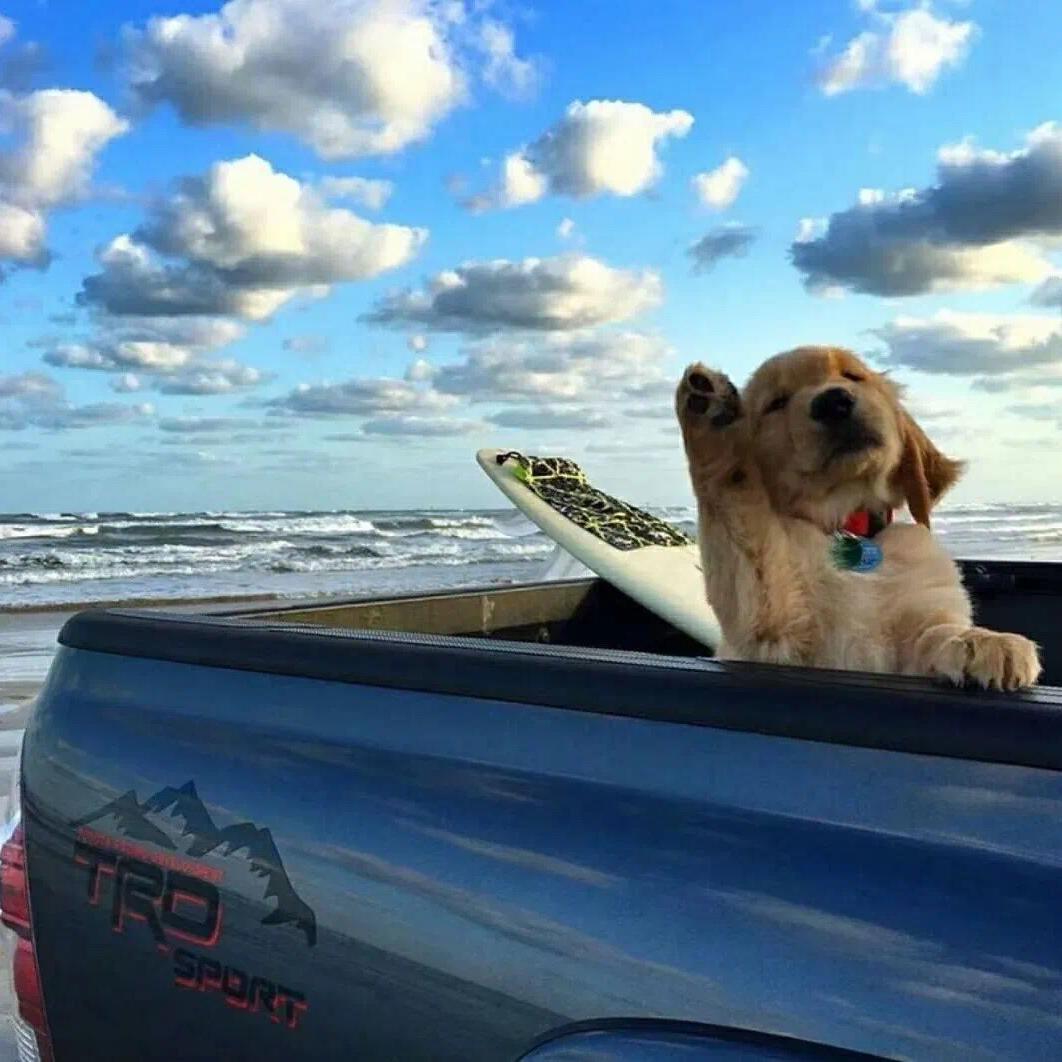 渝衆名車（全国物流）