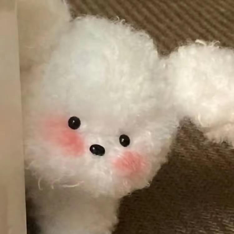 抹茶啵啵