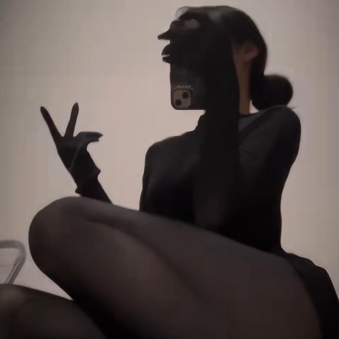 北极狐 .