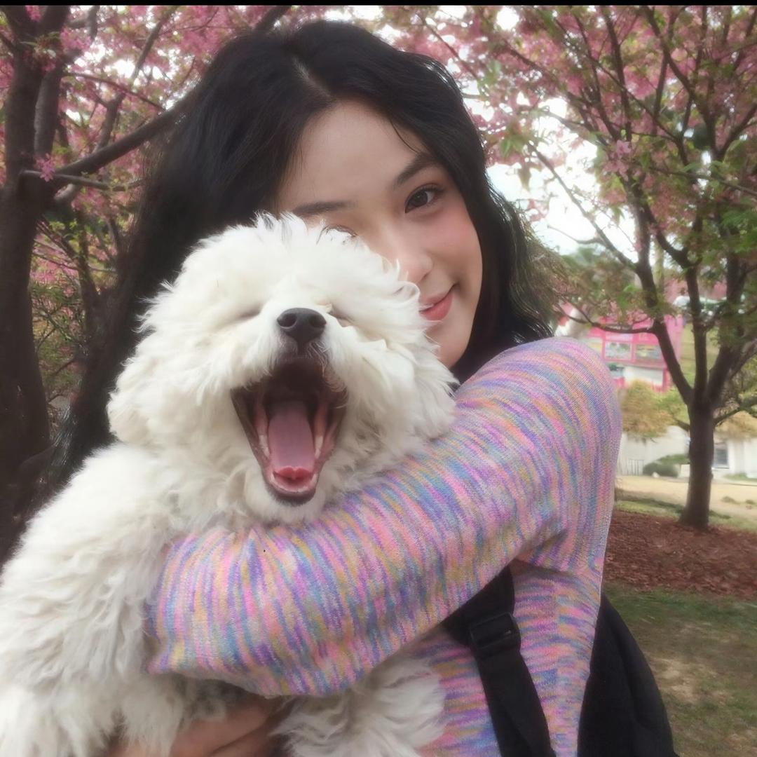 六秘