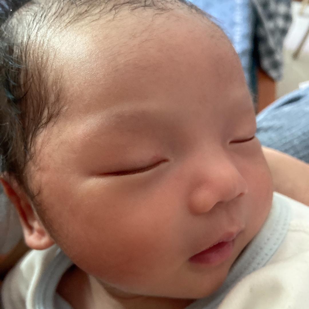 小九和小言